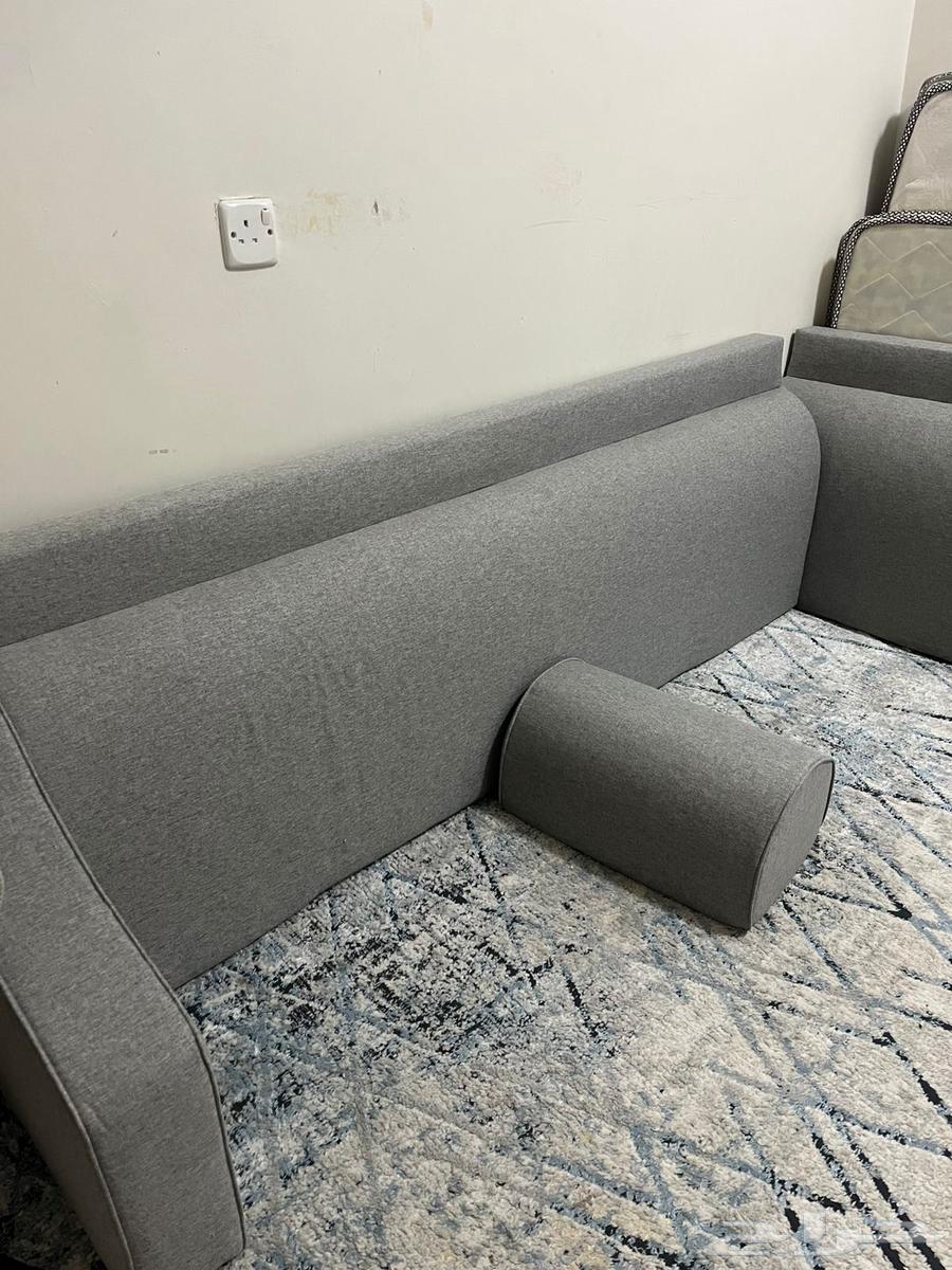 Back for beans64533916511490111