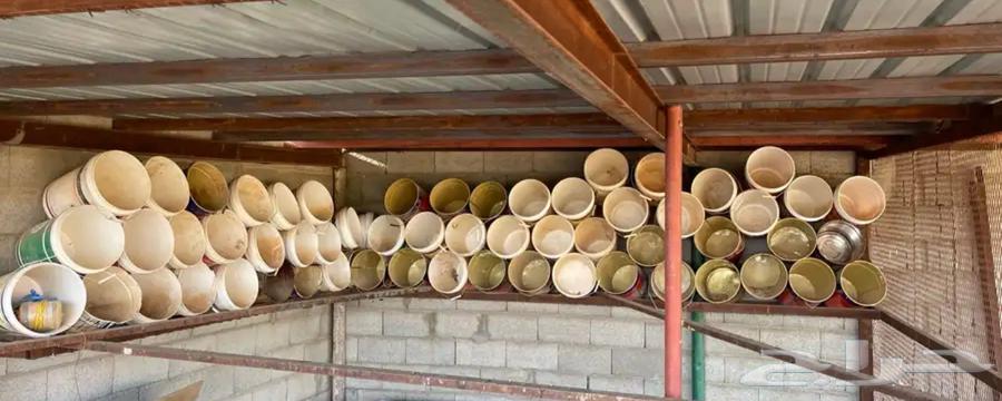 سطول بويا64530247929089110