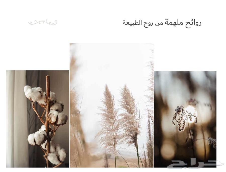 Apartment fragrance device, very competitively priced aromatic diffuser64529826451843113