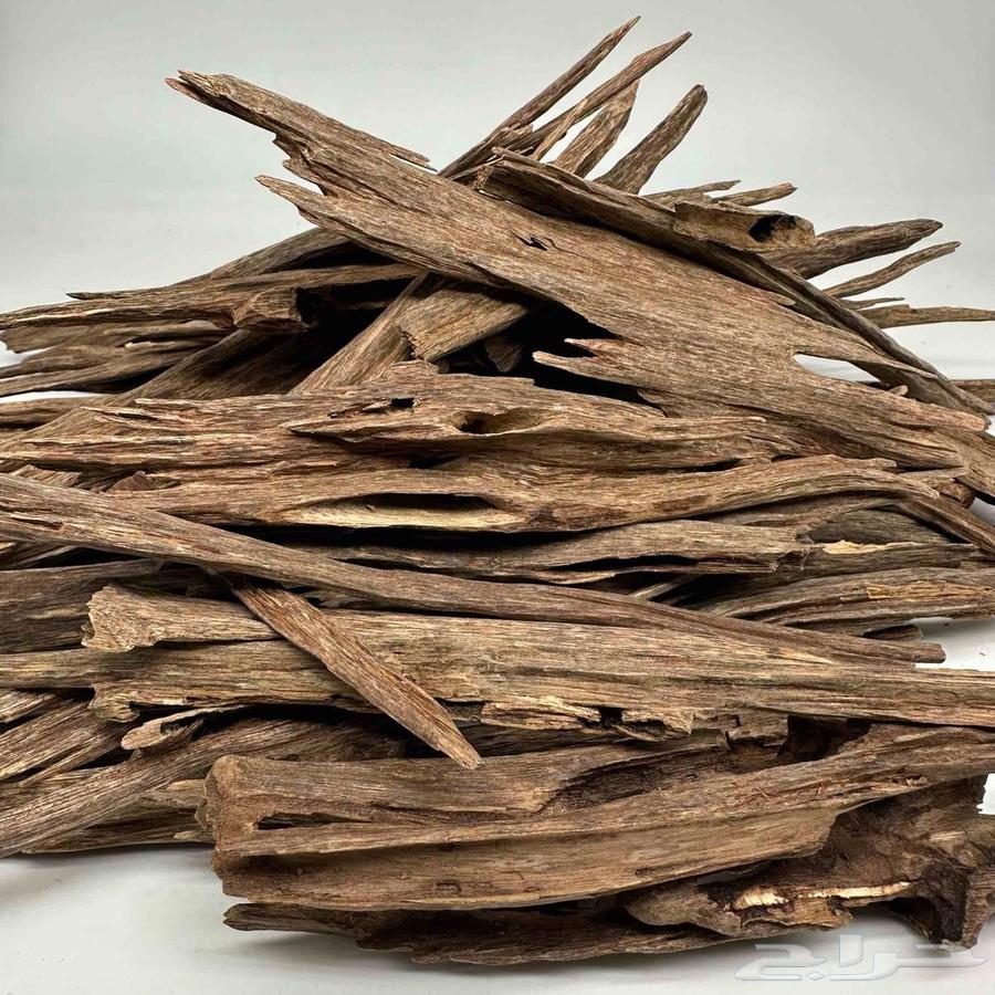 عود هندي فاخر64528351325057110