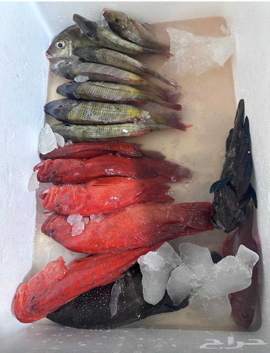 رحلة بحرية صيد64530515455746111