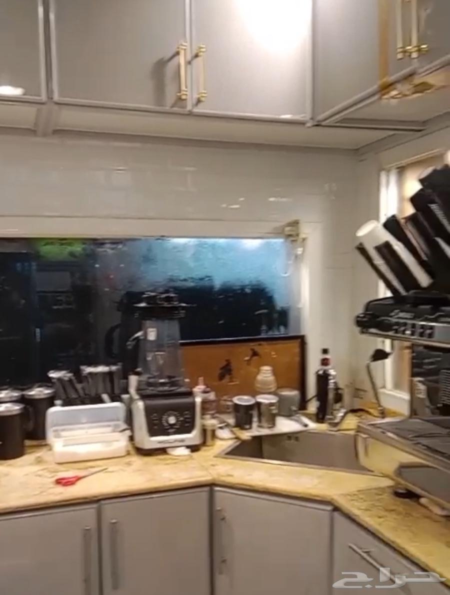 جدة الخمرة64434905086210113