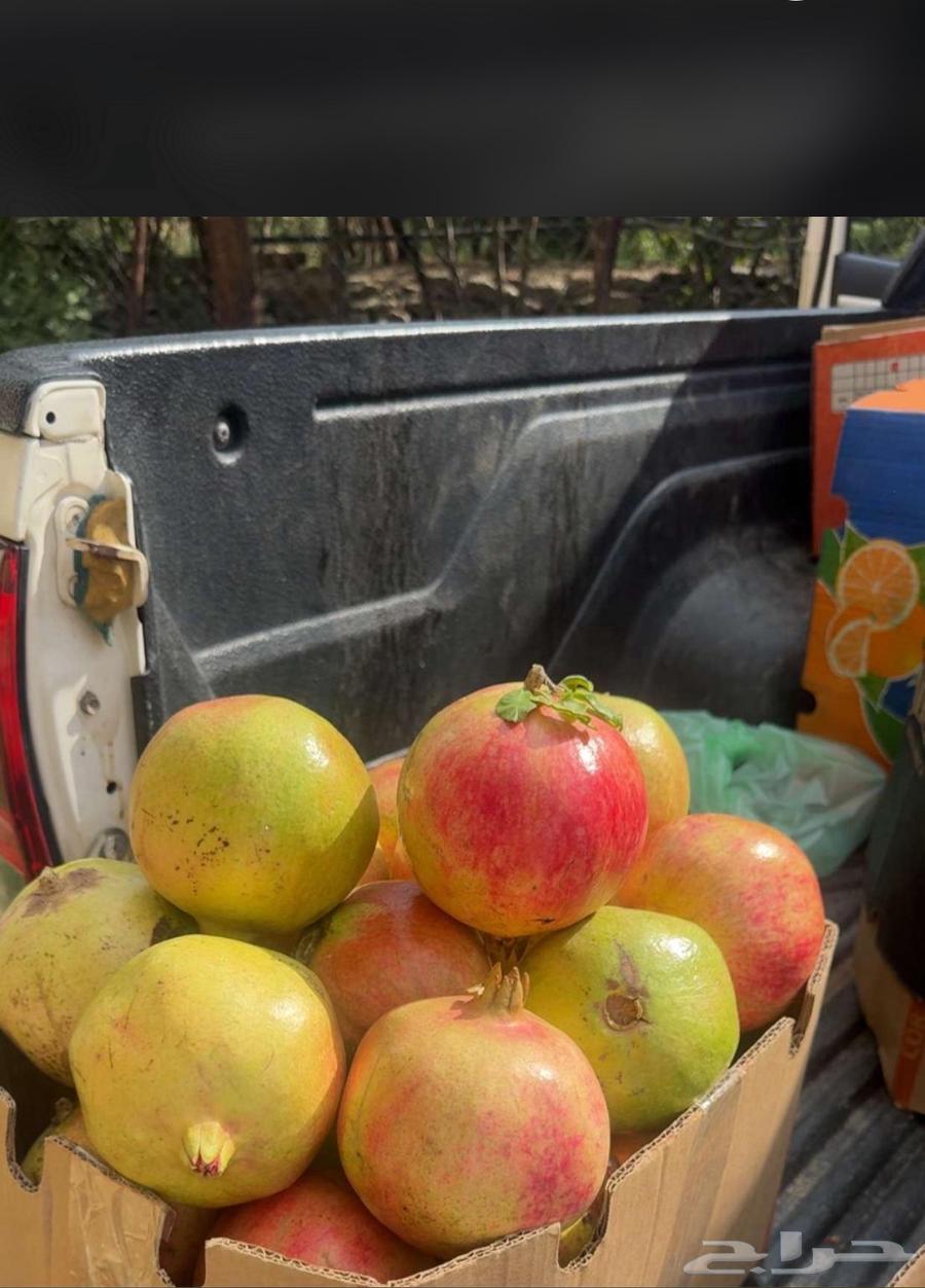 رمان بيده فاخر من الأخر64445296274817112