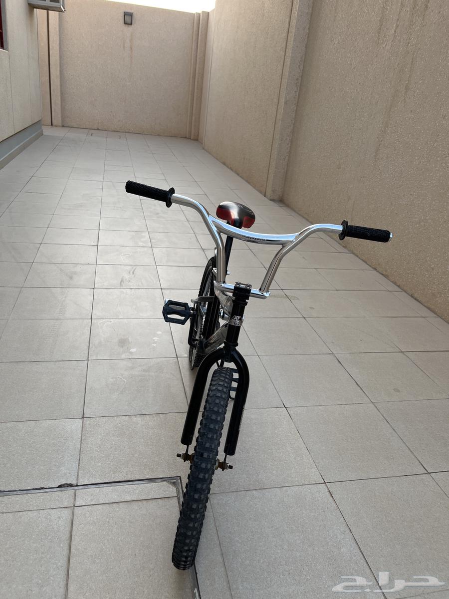 سيكل كوبرا اسود64532170375171110