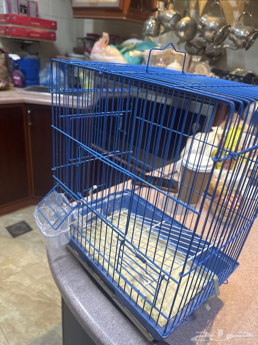 قفص طيور للبيع64533944350465112