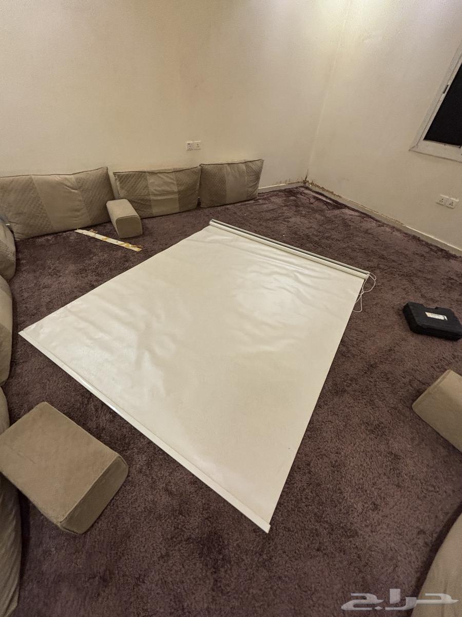 Carpet, cushions, and curtain64532903624578112