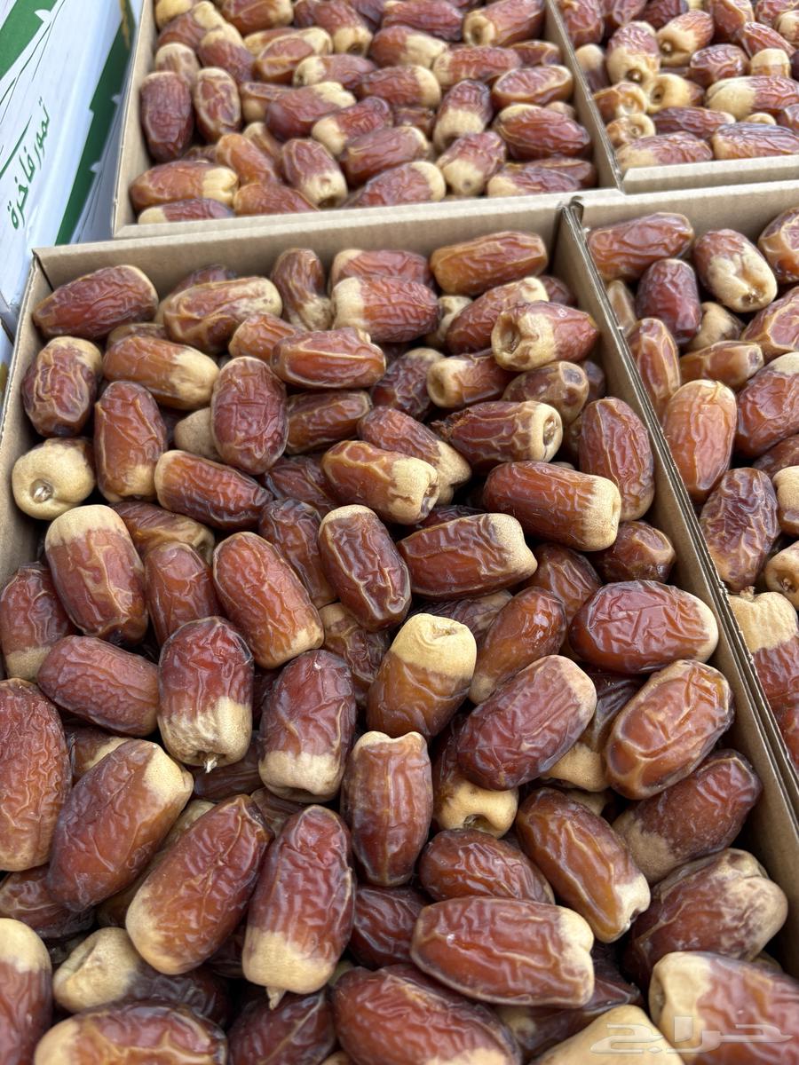 Premium moist dates64530501345154112