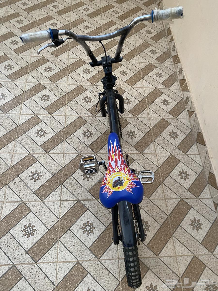 سيكل نظيف للبيع64532381772546111