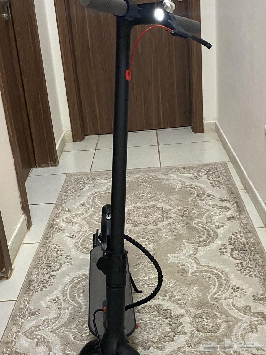 Scooter64531309075586110