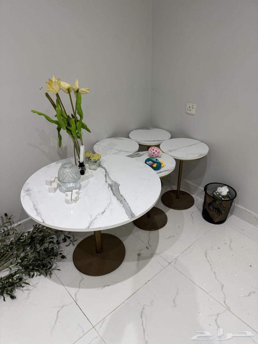 Table Set with Carpet and Curtain64531575023746112