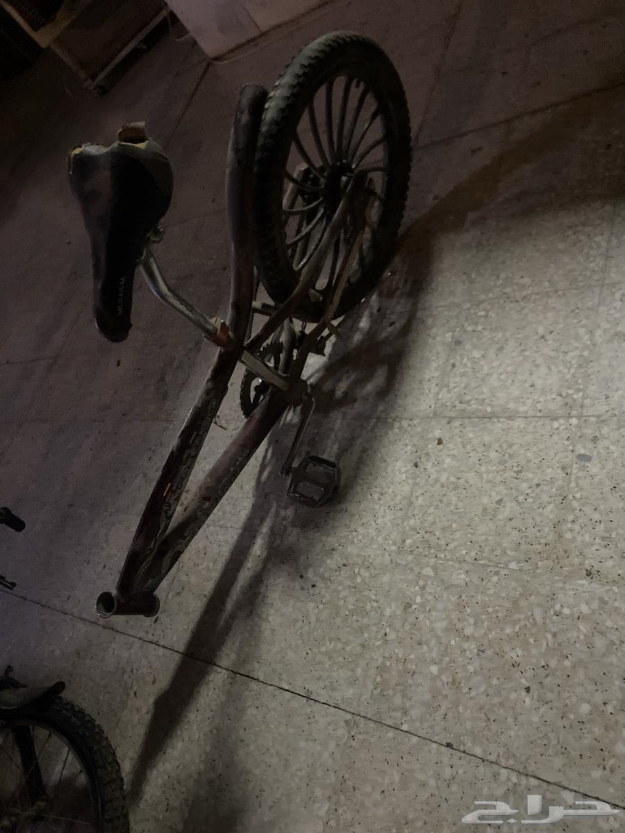 سياكل للبيع مستعمله64532889324033110