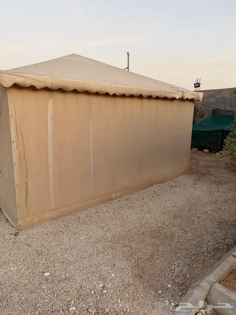 خيمة ملكي للبيع الاستخدام 4 سنوات او اقل بشوي64532565217409112