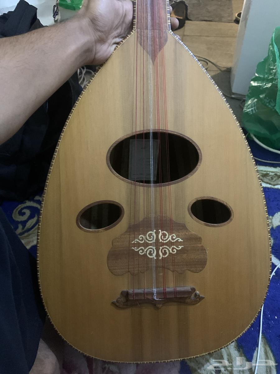 عود زرياب عراقي64529405489026110