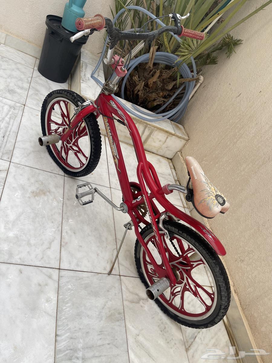 سيكل كوبرا64532028669697110