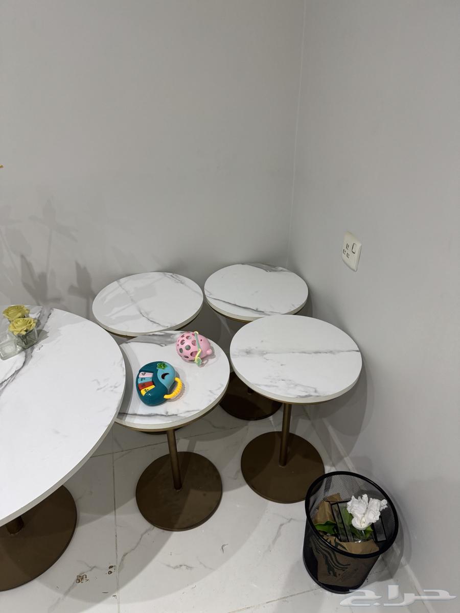 Table Set with Carpet and Curtain64531575023746111