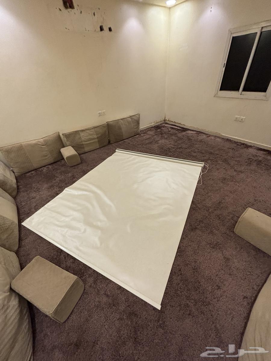 Carpet, cushions, and curtain64532903624578110