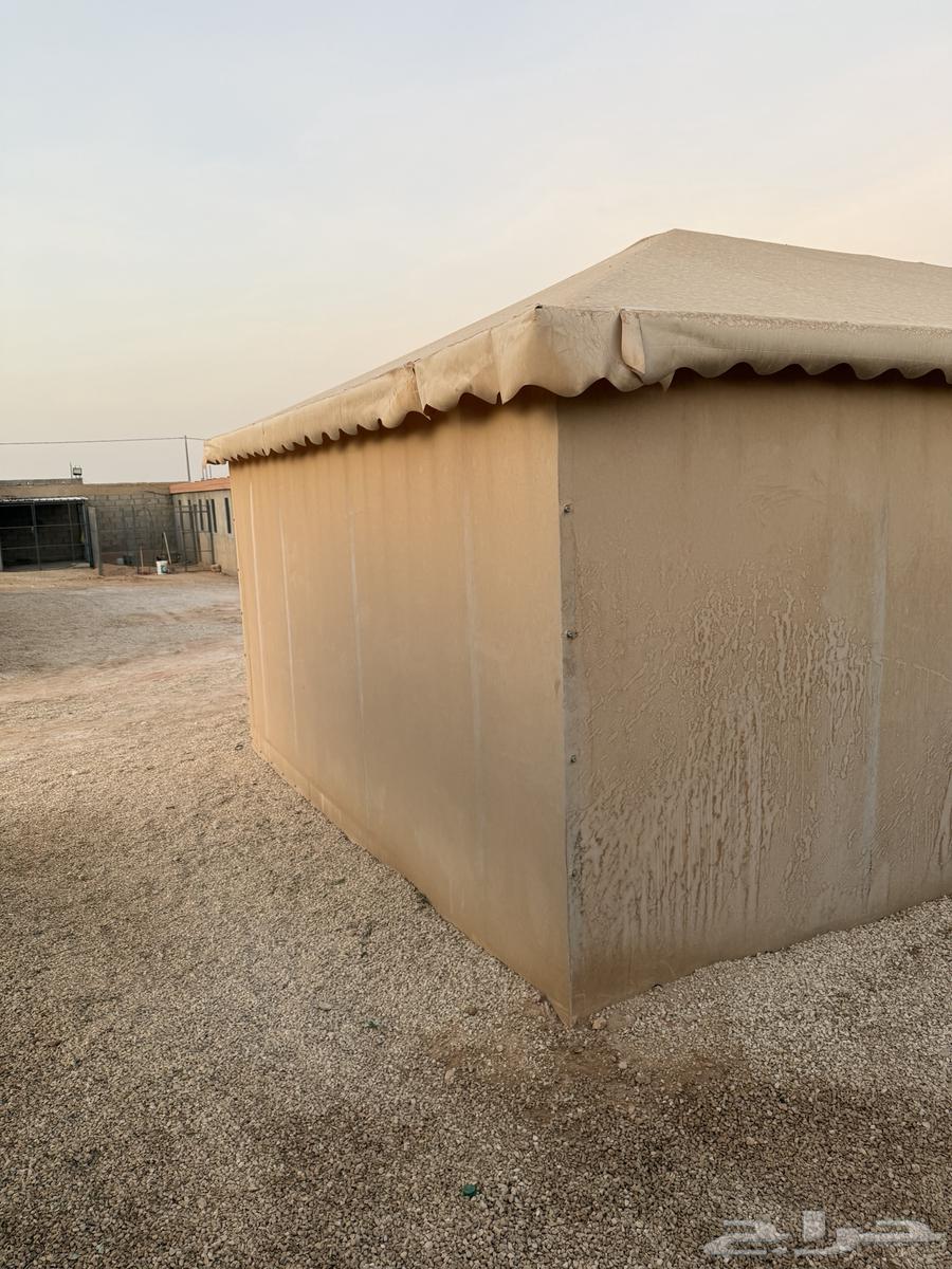 خيمة ملكي للبيع الاستخدام 4 سنوات او اقل بشوي64532565217409113