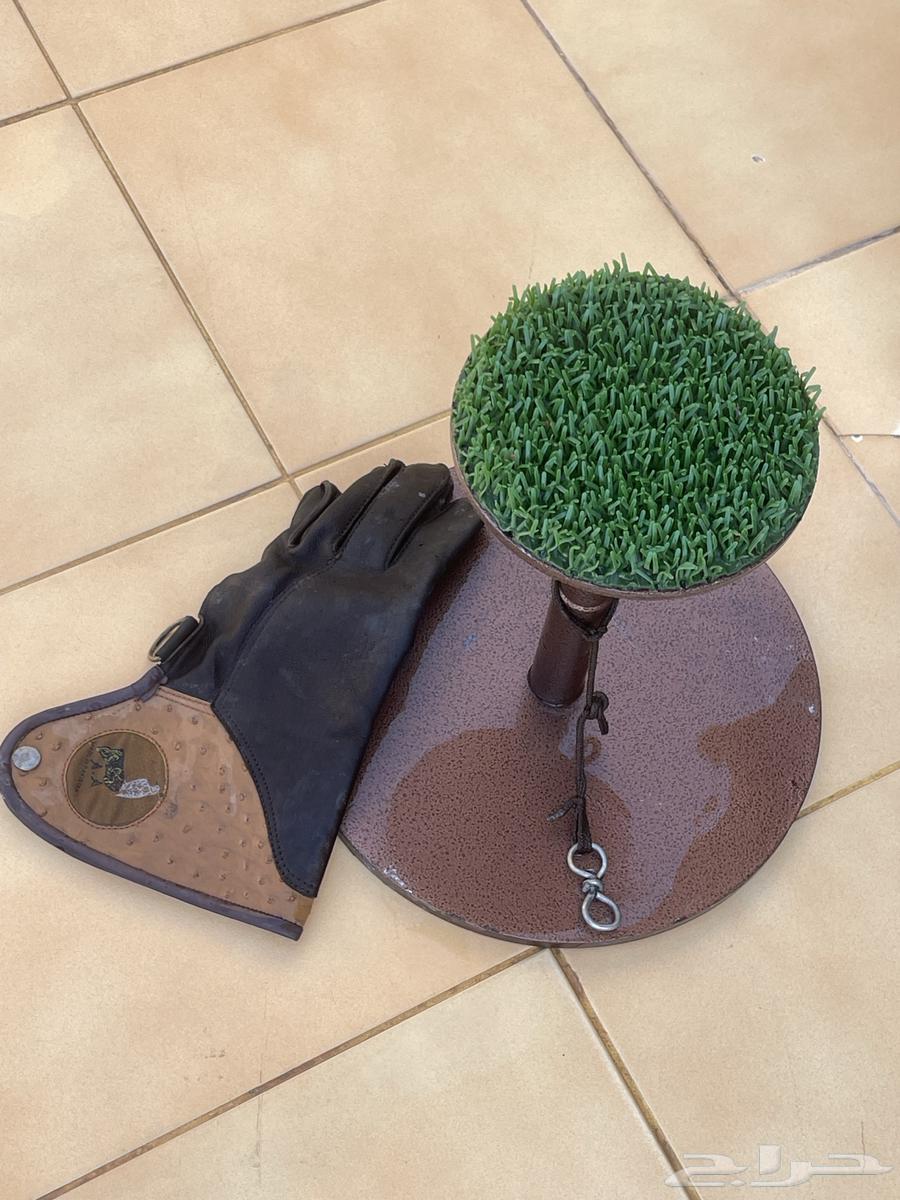 Bird's Nest64528964609154110