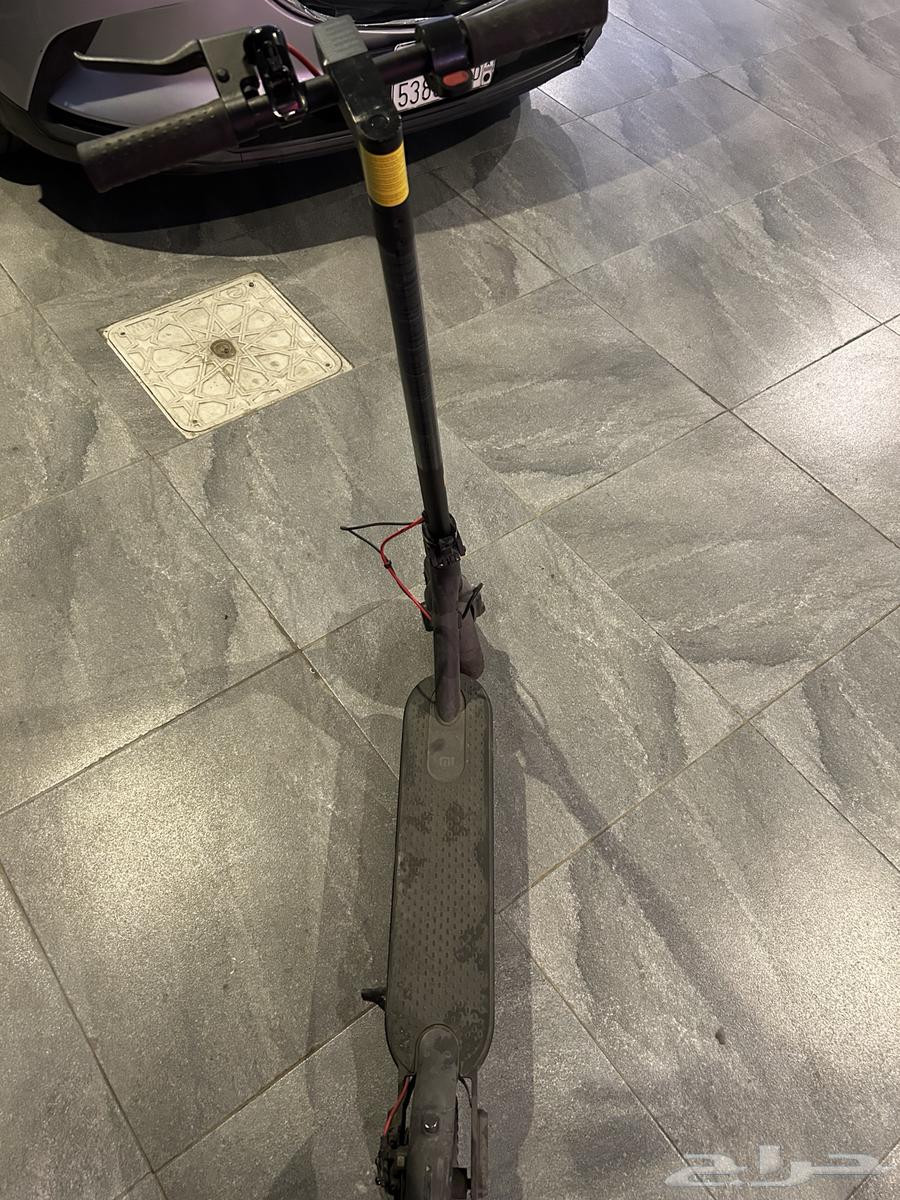 سكوتر كهربائي للبيع64534440699138114