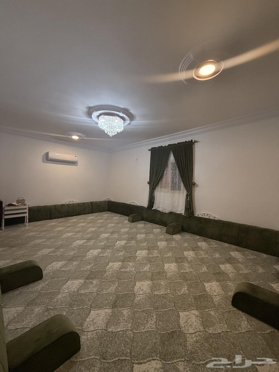 Furniture (complete, clean and new Majlis)64534440821763113