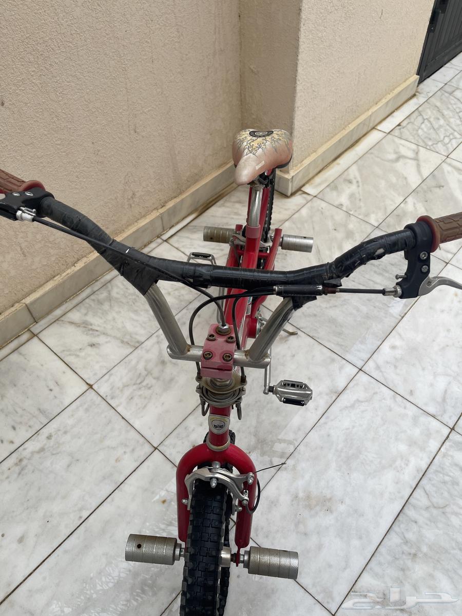 سيكل كوبرا64532028669697113