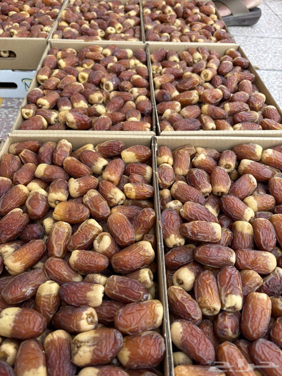 Premium moist dates64530501345154111