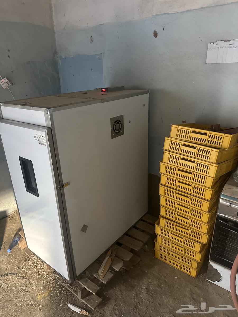 Manual ordinary incubator removes 1500 new eggs using 5 trays64532114093315113