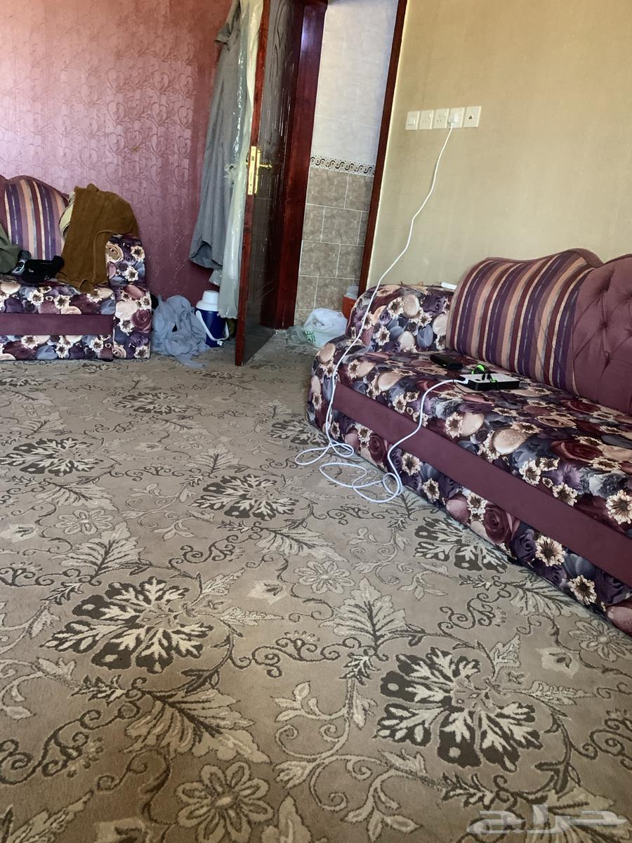 كنب غرفة كامل اخو الجديد64531182219137111