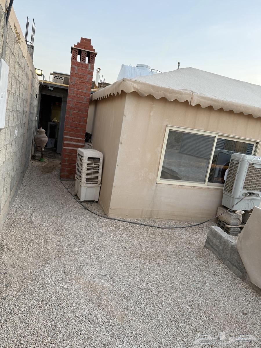 خيمة ملكي للبيع الاستخدام 4 سنوات او اقل بشوي64532565217409111