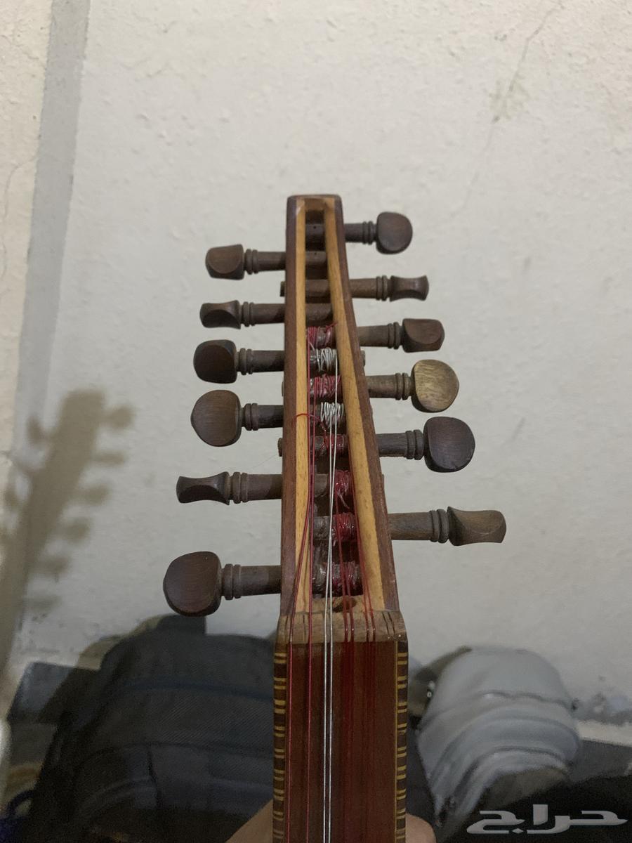 عود زرياب عراقي64529405489026112