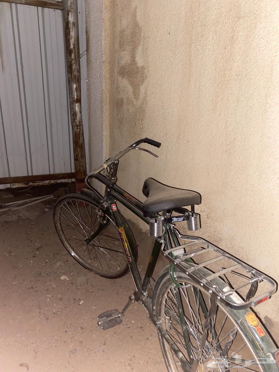 سيكل عماله مقاس 26 جديد ما احد لمسه له 6شهور غير كفراته فقط64534392515969111