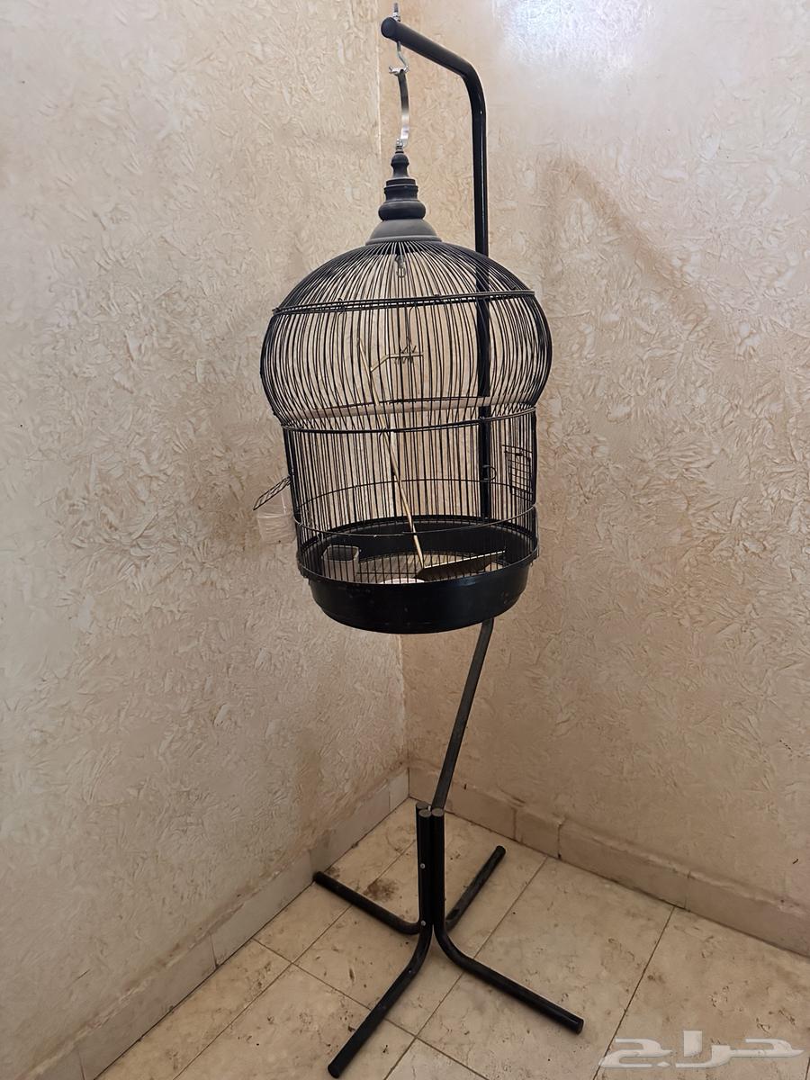 قفص لطيور 150 ريال64528809049859111