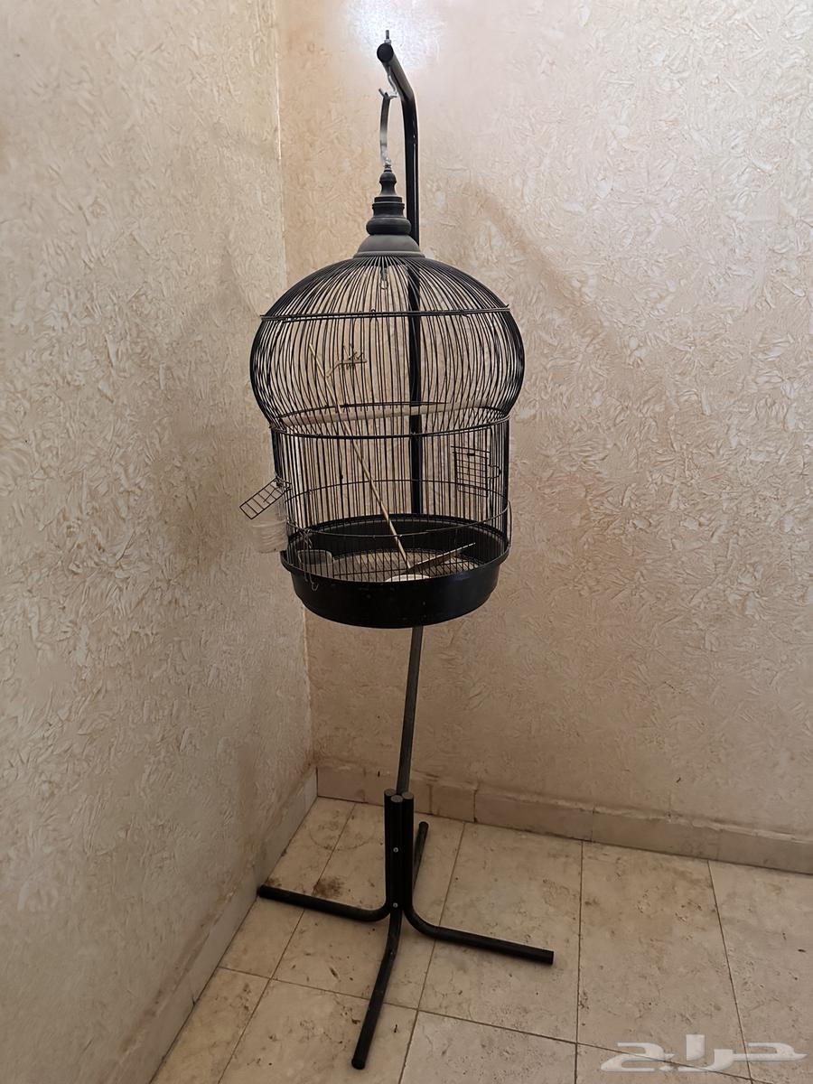قفص لطيور 150 ريال64528809049859110