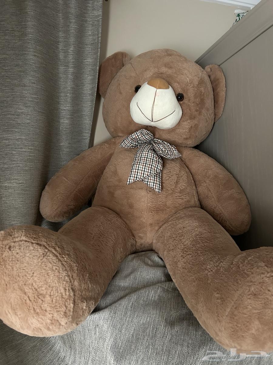 دبدوب كبير64534127604097110