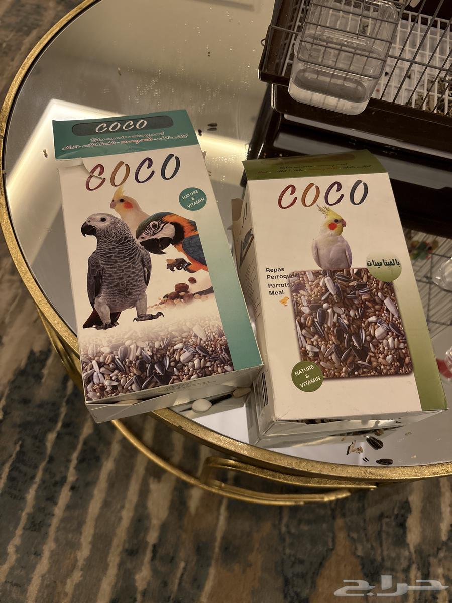 طير كروان للبيع64531972013826111