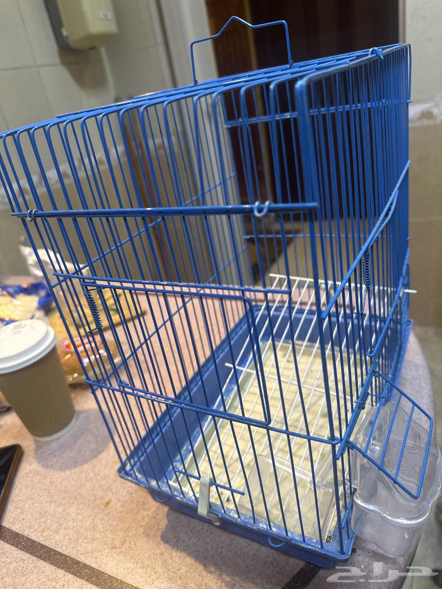 قفص طيور للبيع64533944350465110