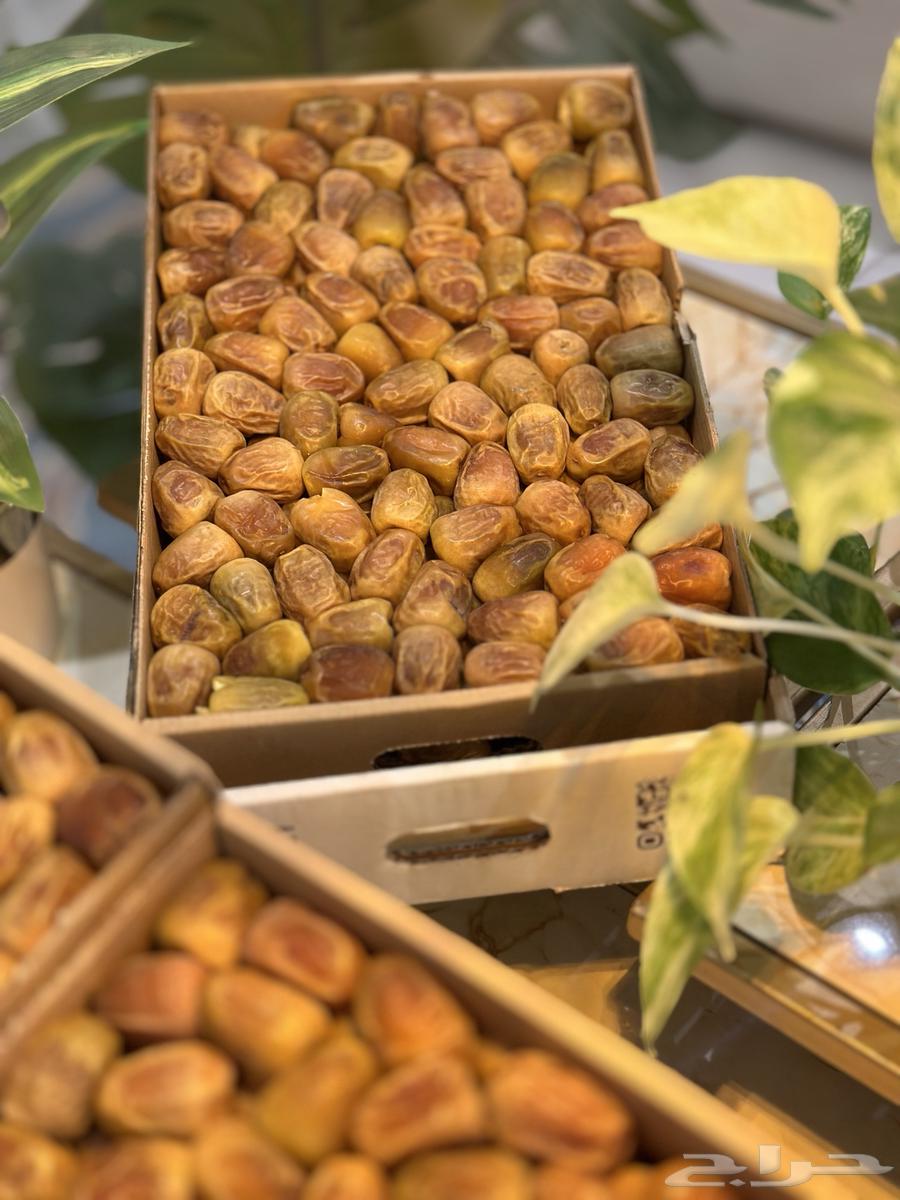 Al-Sukkari Number One Twisted Large Date, Special Season 4764530755536897112