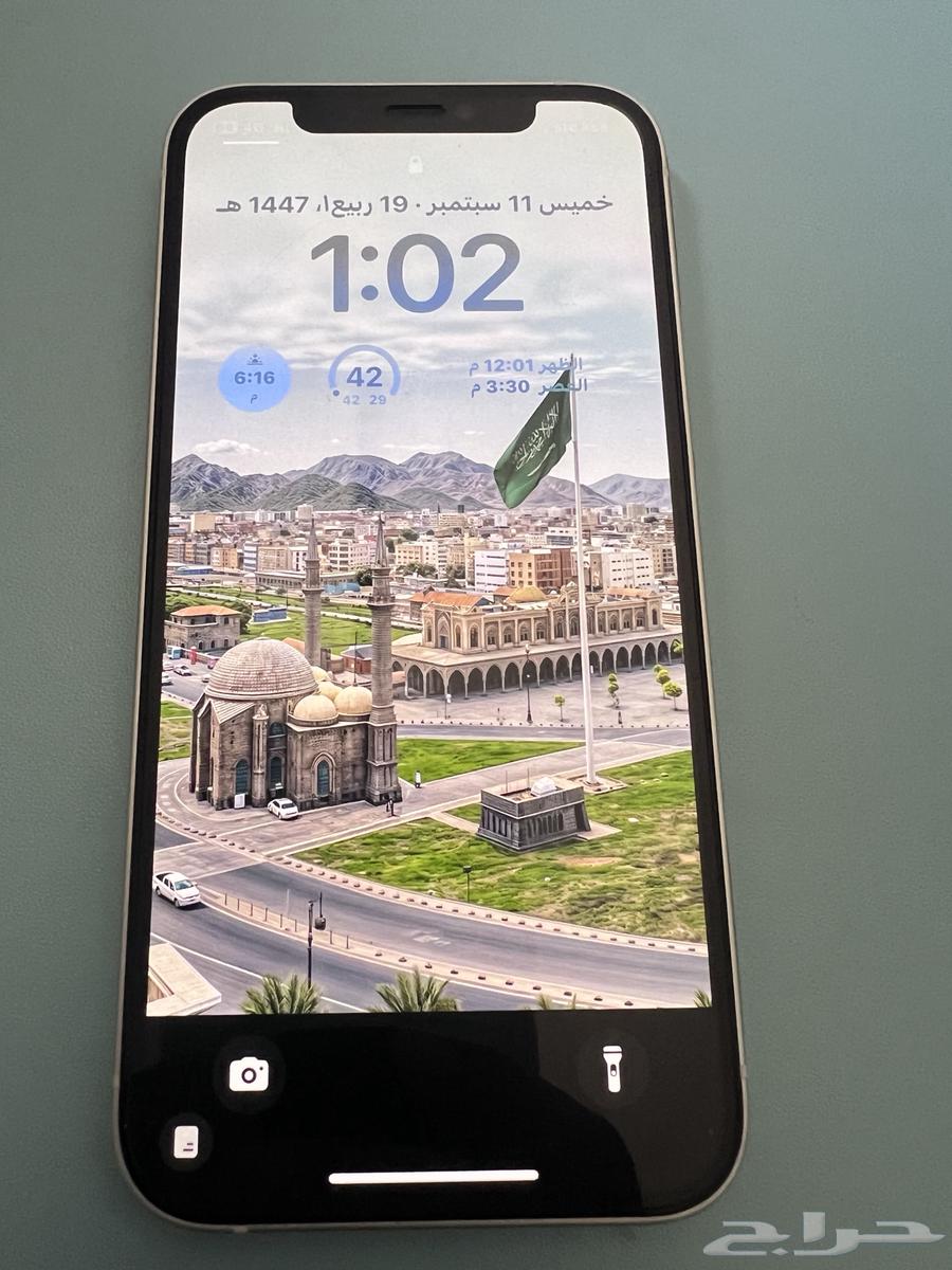 iPhone 12 Regular 12864533578099202111