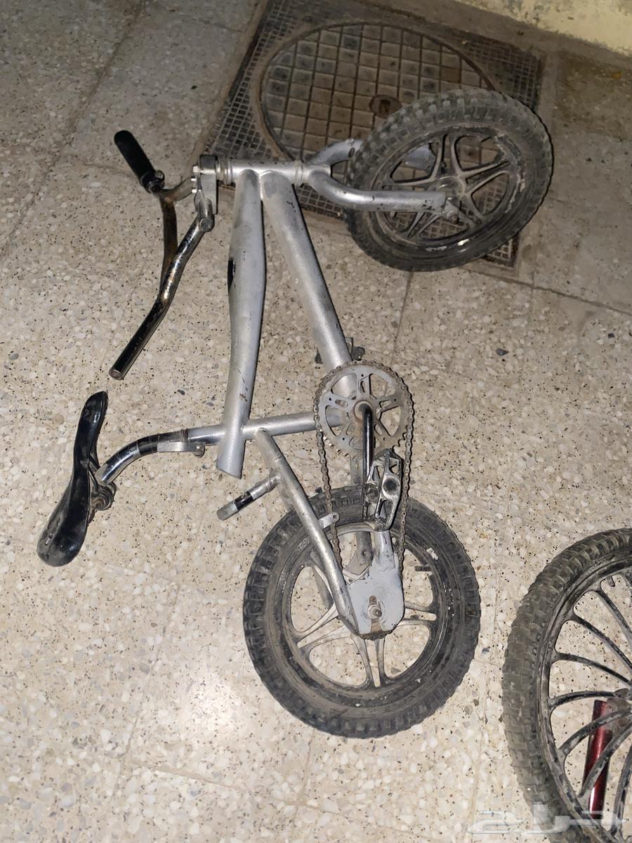 سياكل للبيع مستعمله64532889324033113