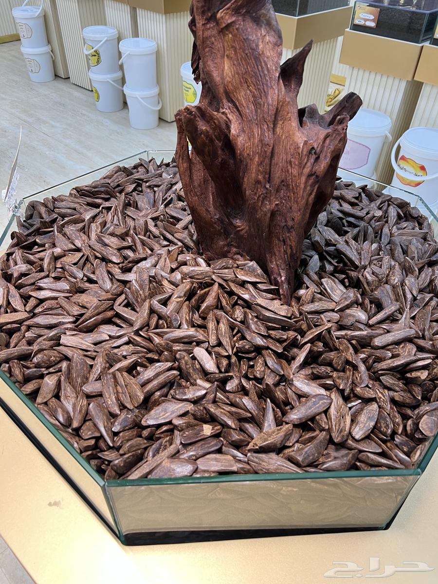 عود بايلوت 1200 ريال سعر الكيلو64533662743938110