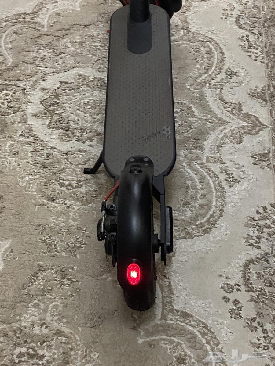 Scooter64531309075586111