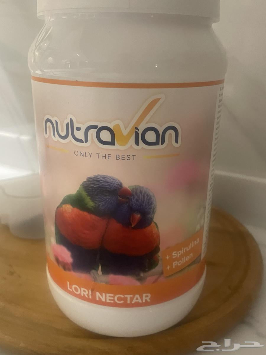 زوج طير اللوري64530473084674114