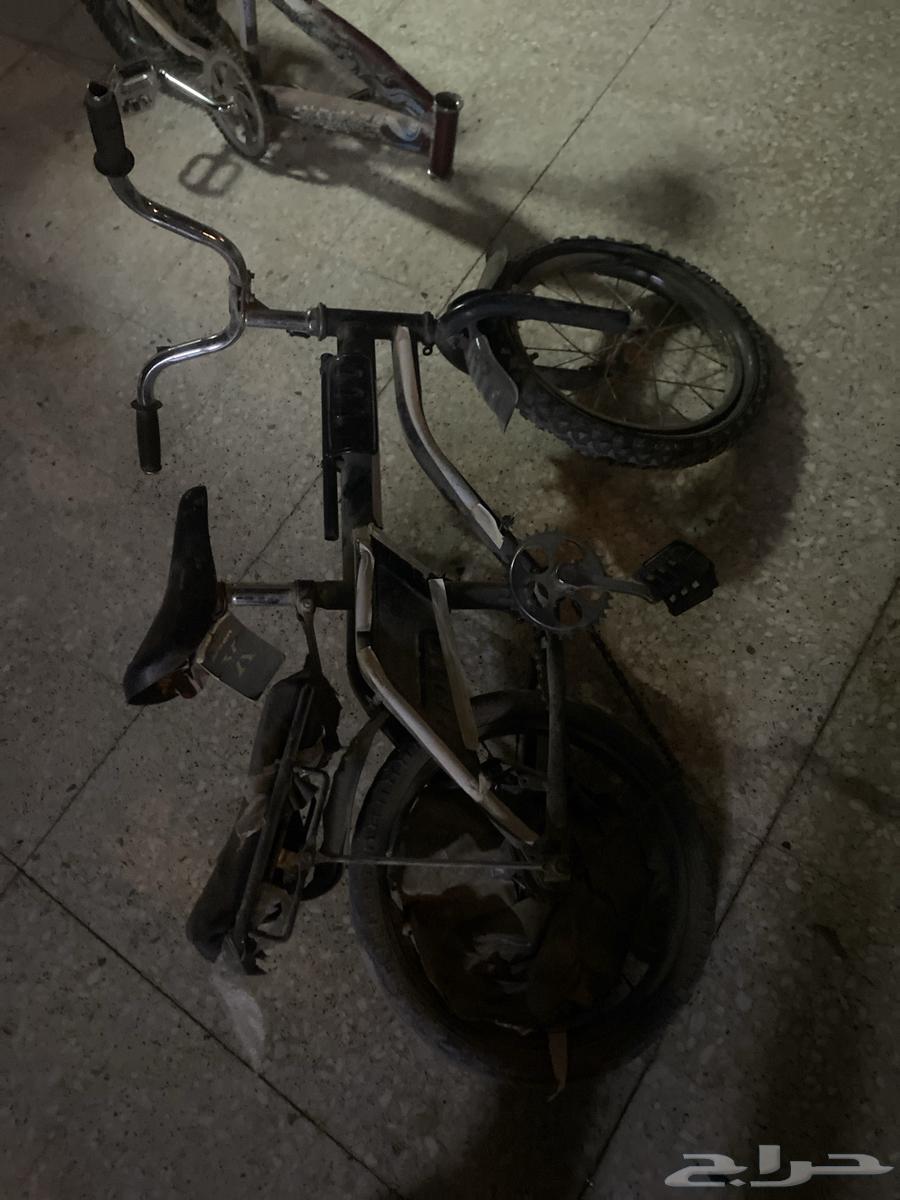 سياكل للبيع مستعمله64532889324033114