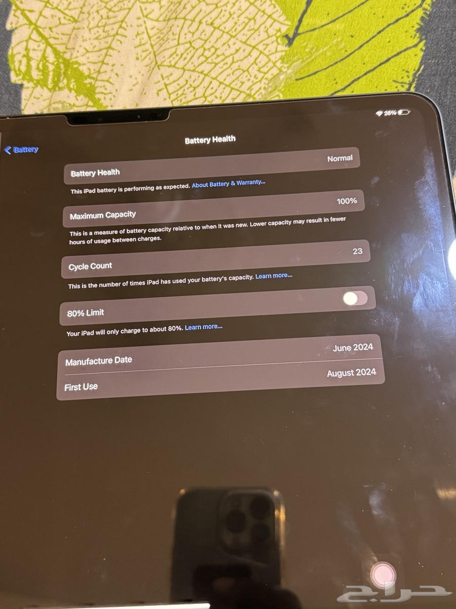 ipad m4 13inch64532677678465114