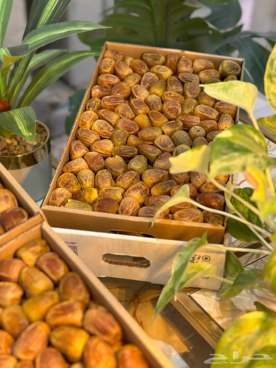 Al-Sukkari Number One Twisted Large Date, Special Season 4764530755536897113