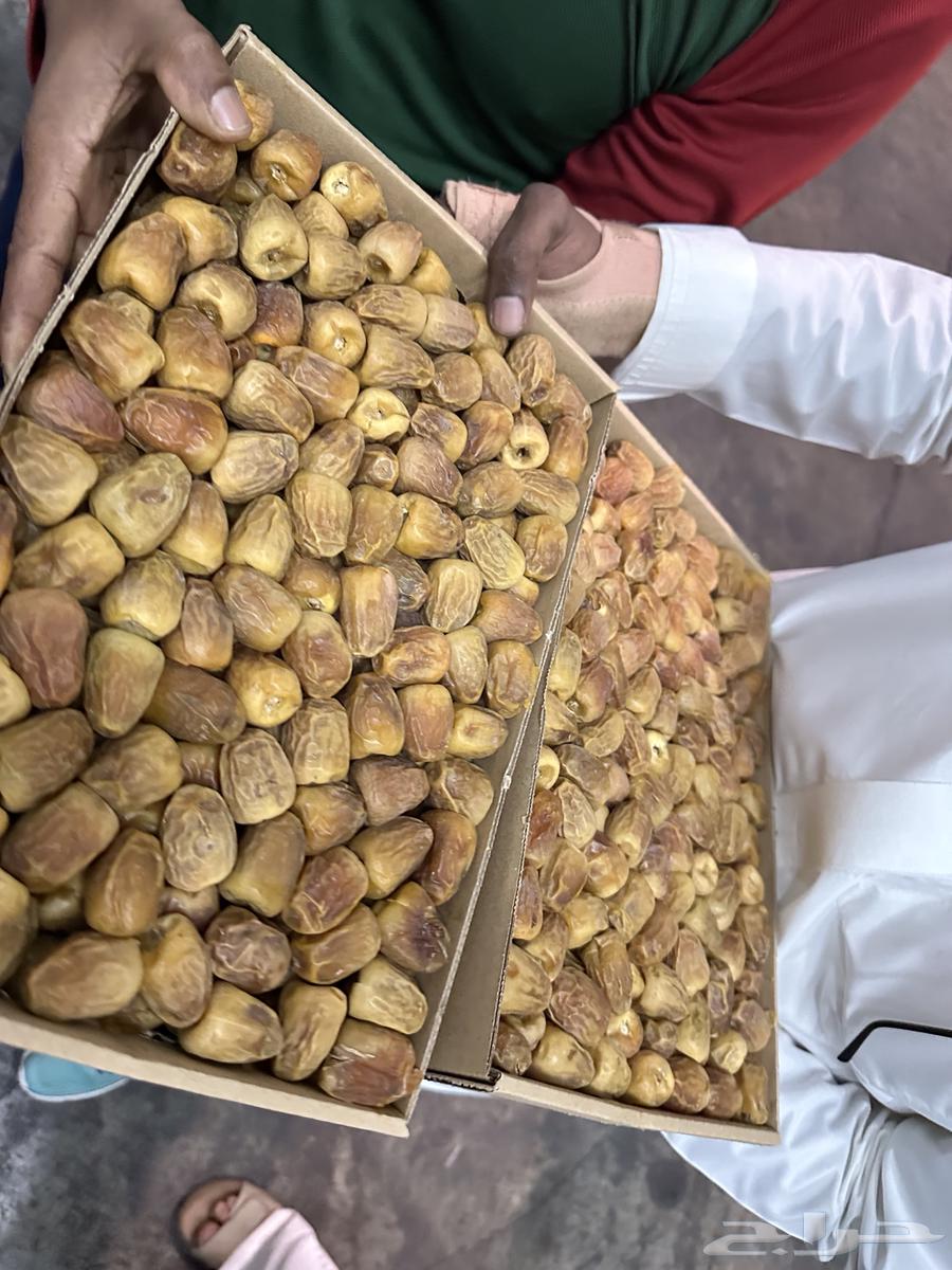 3-kilogram cracked sugar dates64529605548931112