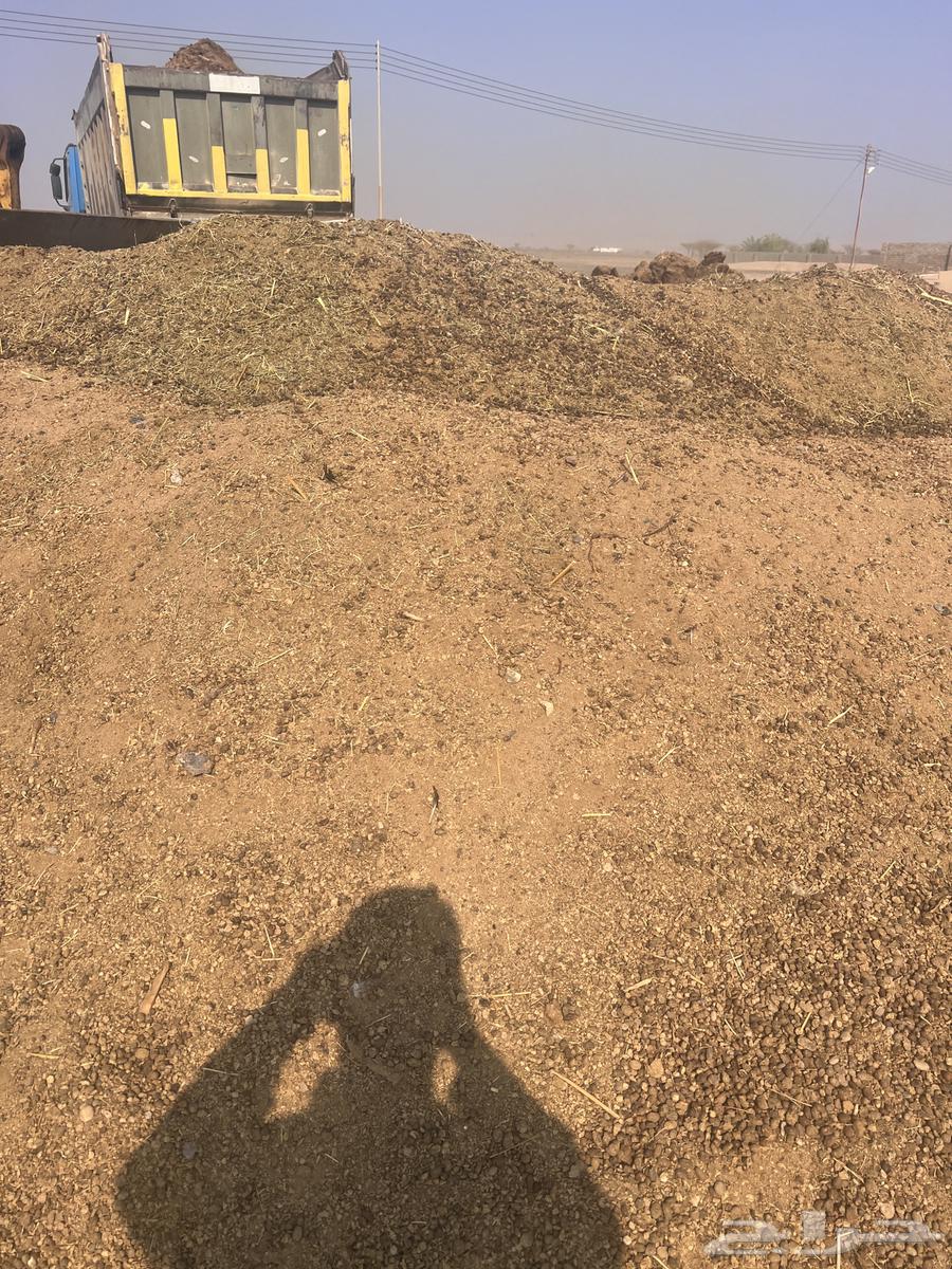 Sheep manure64534505004417112