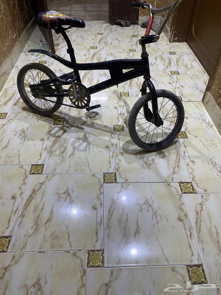 Cobra bicycle64533076148099110