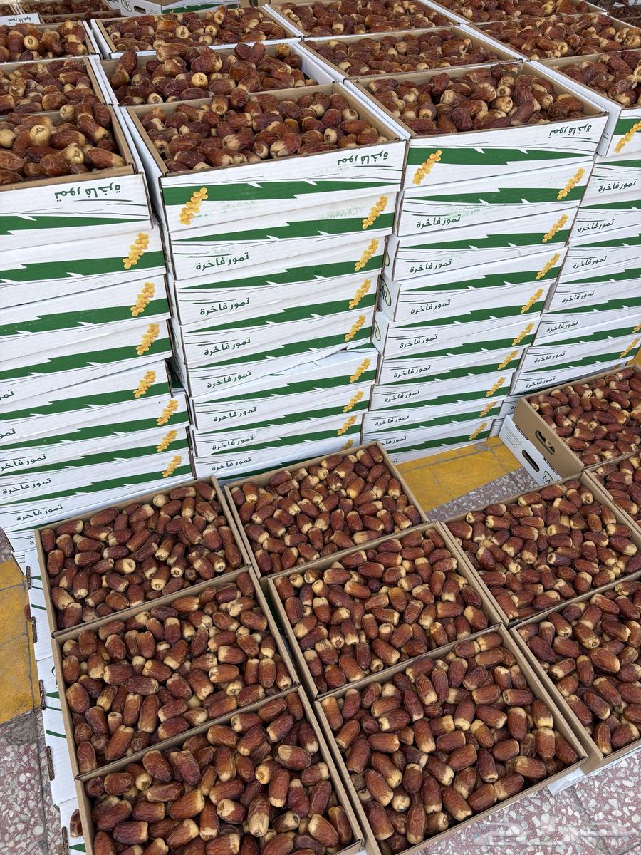 Premium moist dates64530501345154113
