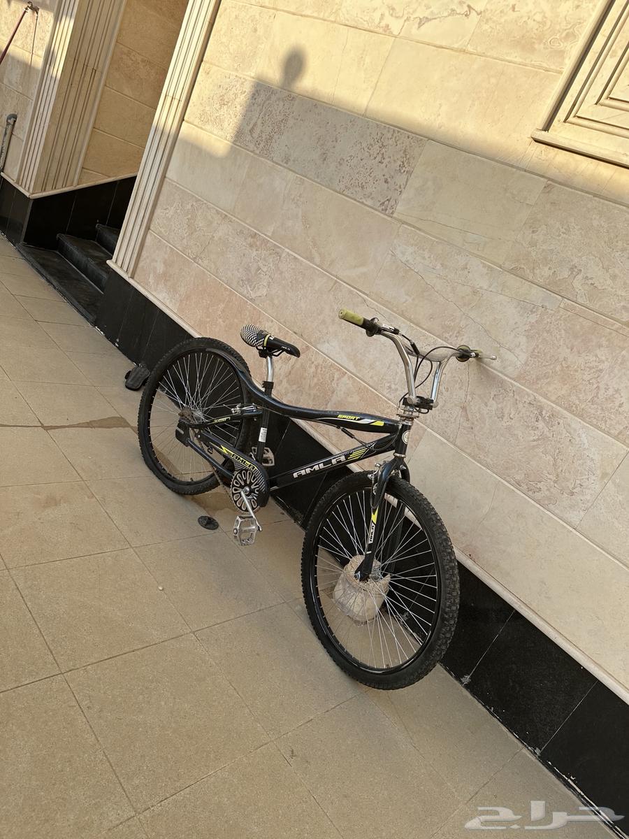 كوبرا للبيع64532014606594112